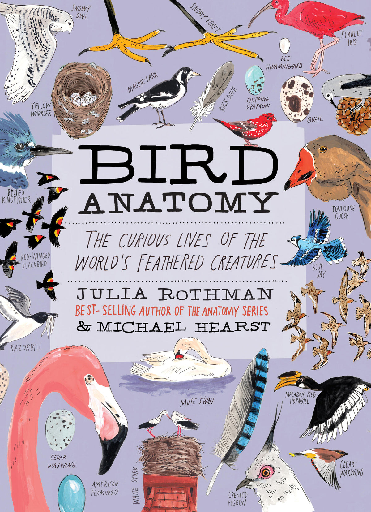 Bird Anatomy