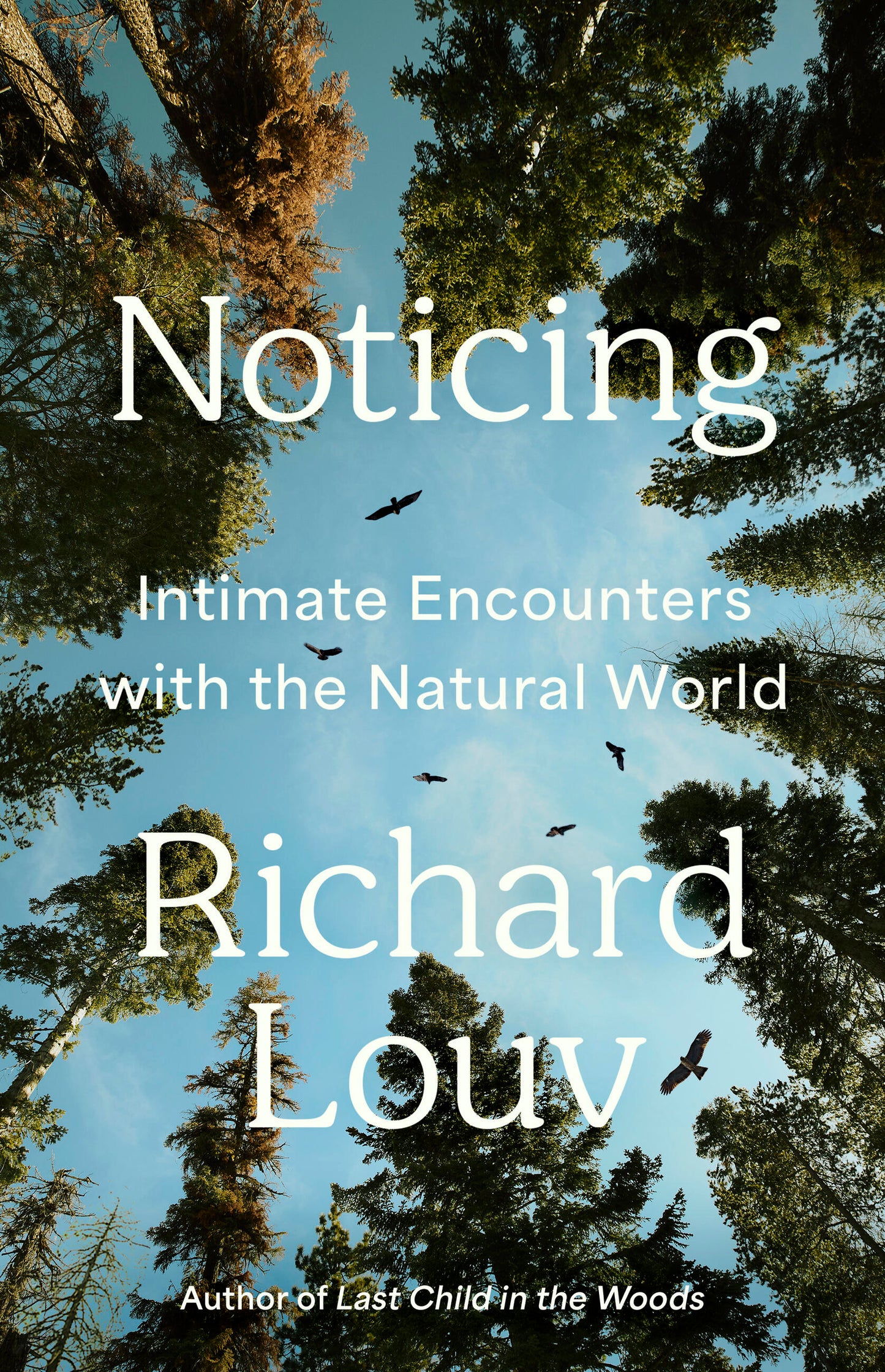 Noticing