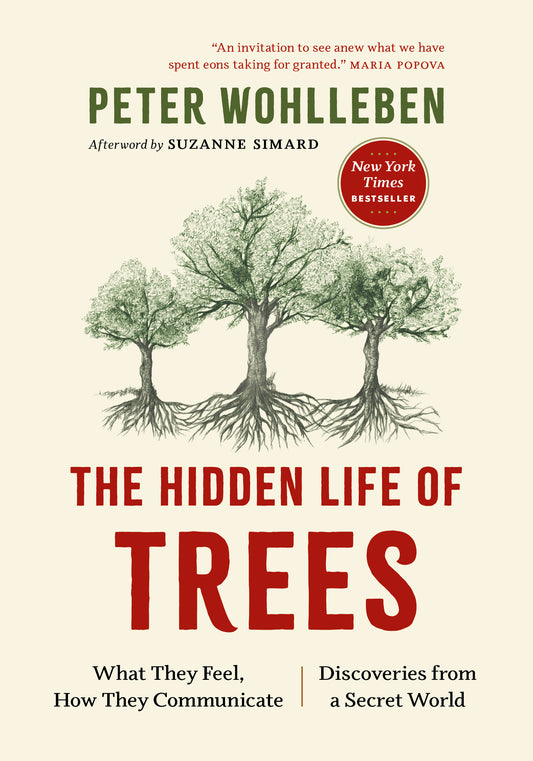 The Hidden Life of Trees