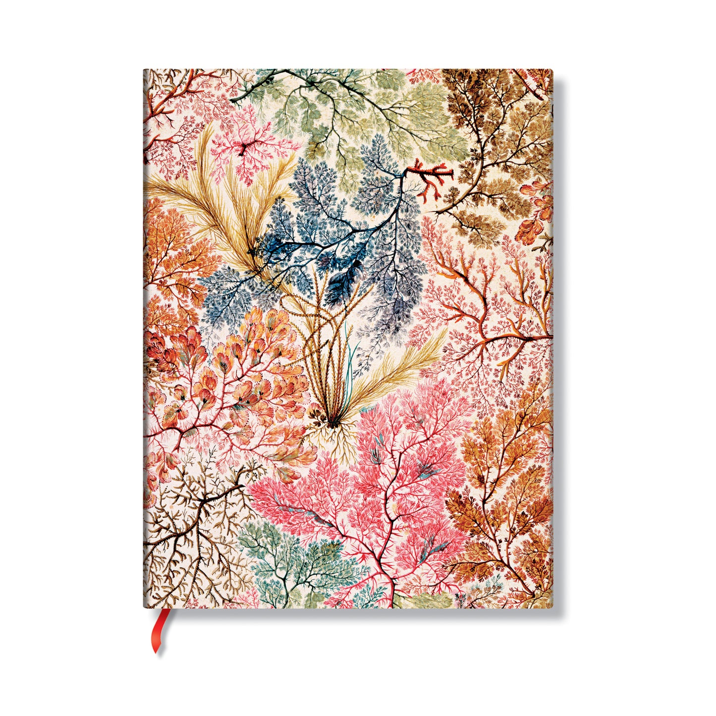 Anemone Midi Lined Softcover Journal, 176pg, 100GSM by Paperblanks (William Kilburn)