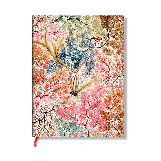 Anemone Midi Lined Softcover Journal, 176pg, 100GSM by Paperblanks (William Kilburn)