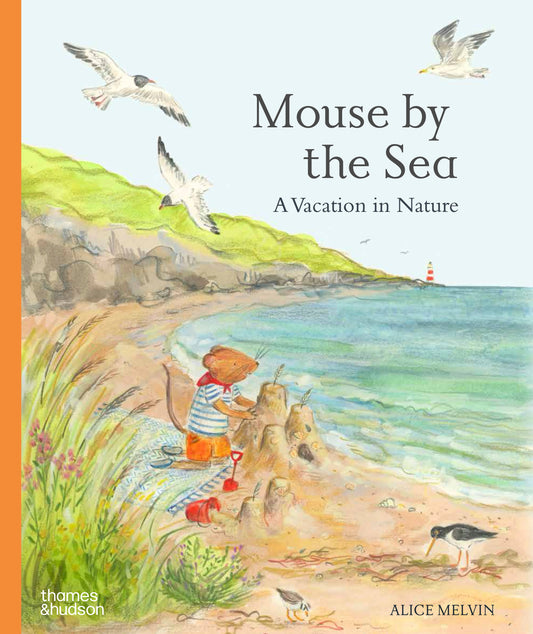 Mouse by The Sea