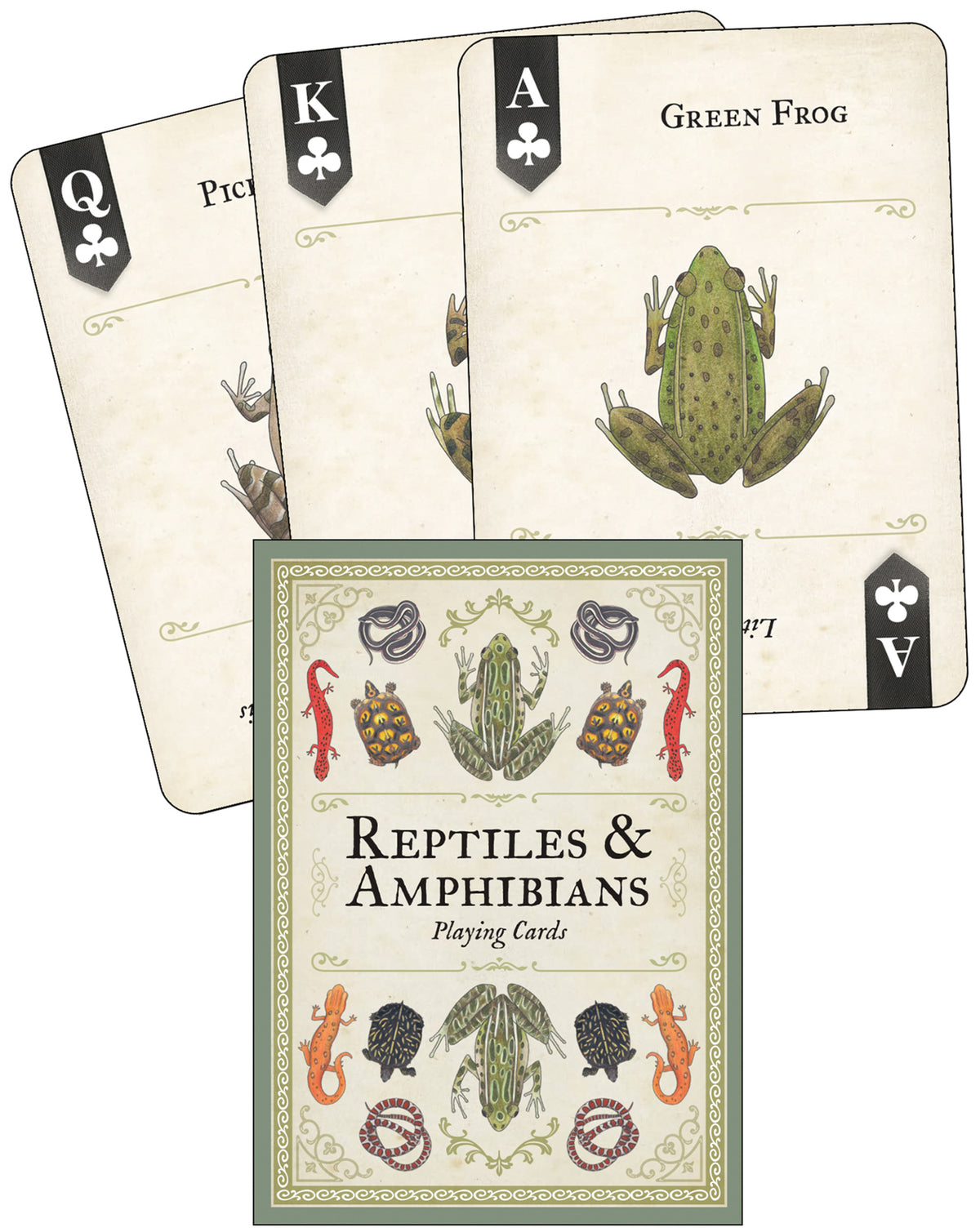 Reptiles &amp; Amphibians Playing Cards