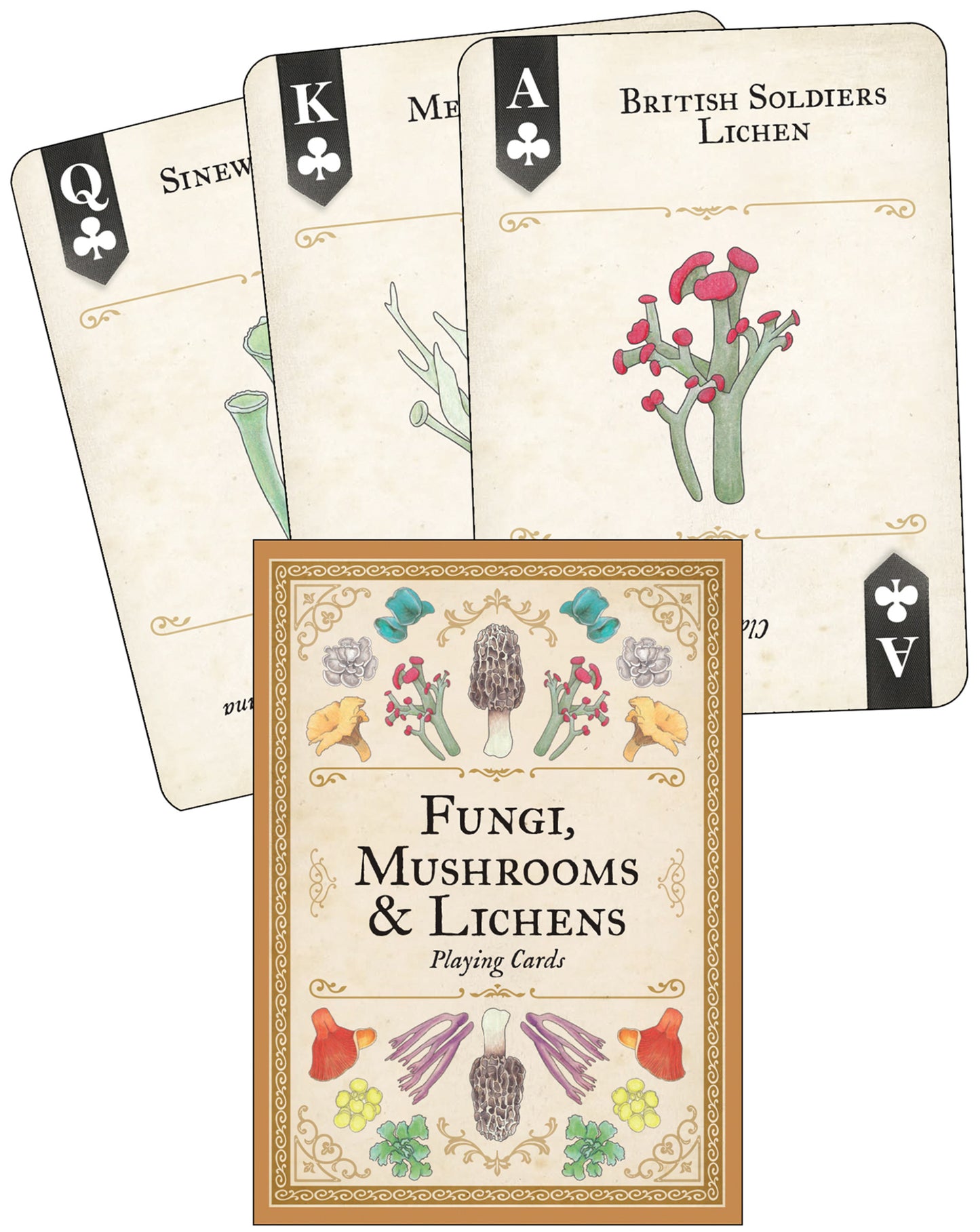 Fungi, Mushrooms &amp; Lichens Playing Cards